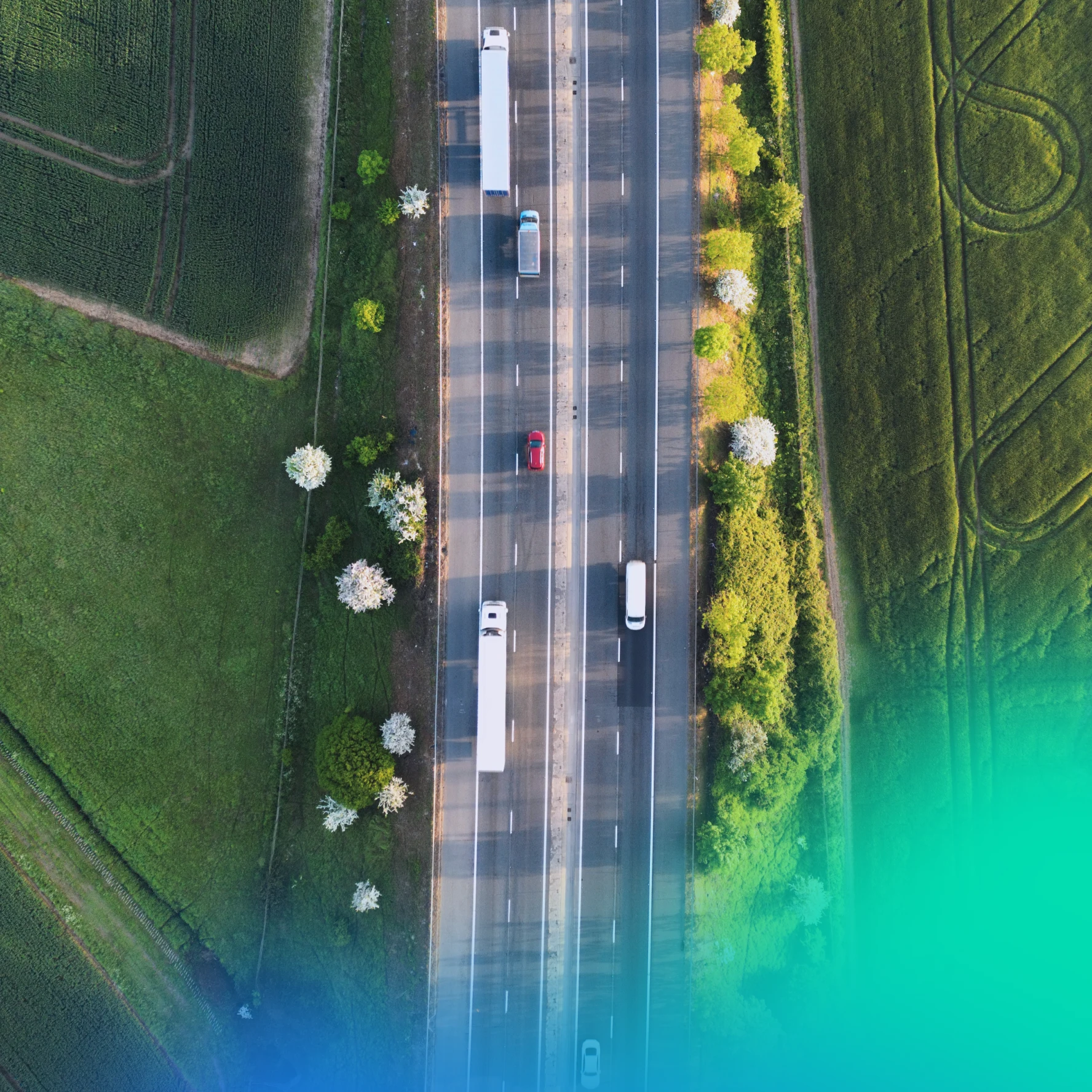card driving on a motorway