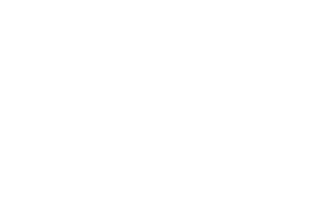 holden-white